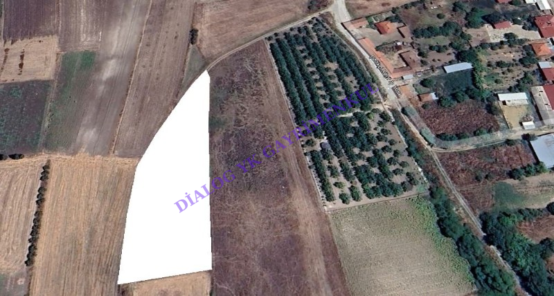 Mustafakemalpaşa Çeltikçi Köyünde 4900m² Tarla