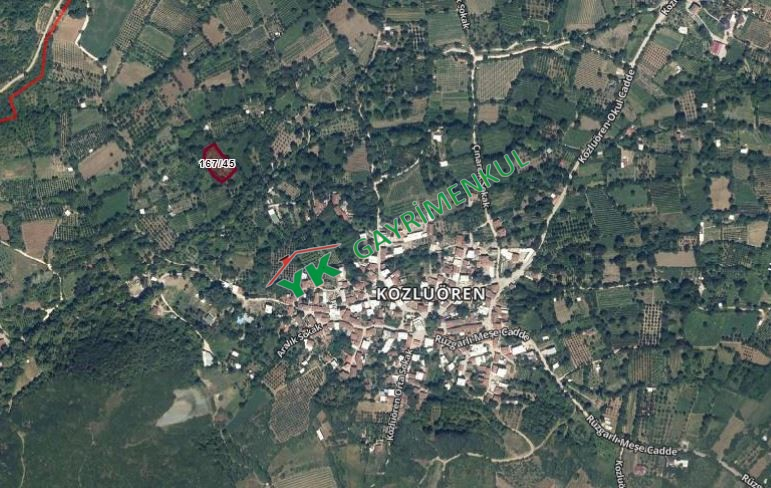 KESTEL KOZLUÖRENDE 2150 M² SATILIK BAHÇE