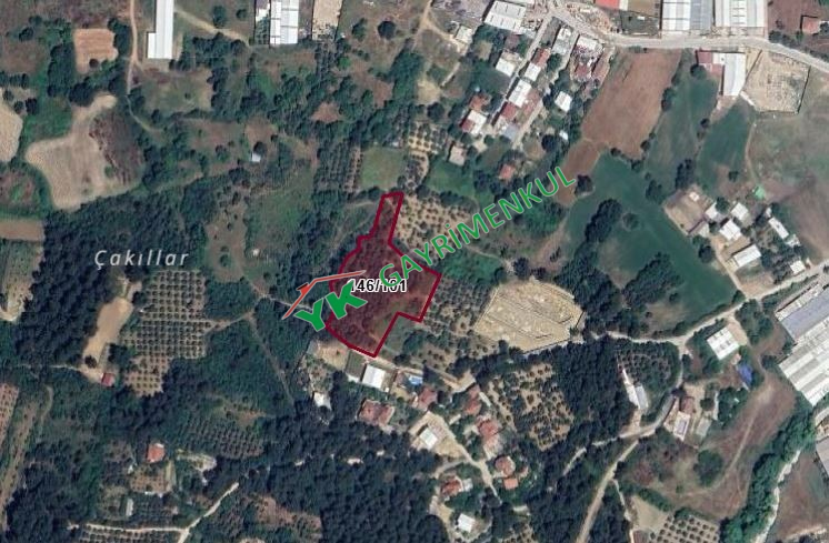 NİLÜFER YAYLACIK TA 5905 m² Manzaralı Tarla